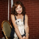 ������ ��������